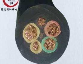 橡膠軟電纜 YC 3×25+2×16