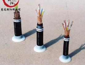 電線-計(jì)算機(jī)電纜